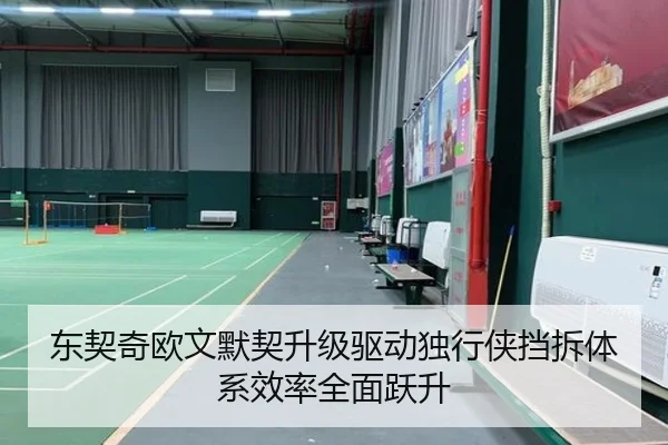 东契奇欧文默契升级驱动独行侠挡拆体系效率全面跃升